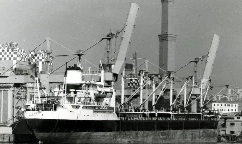 AILSA Bulk Carrier IMO 7125926