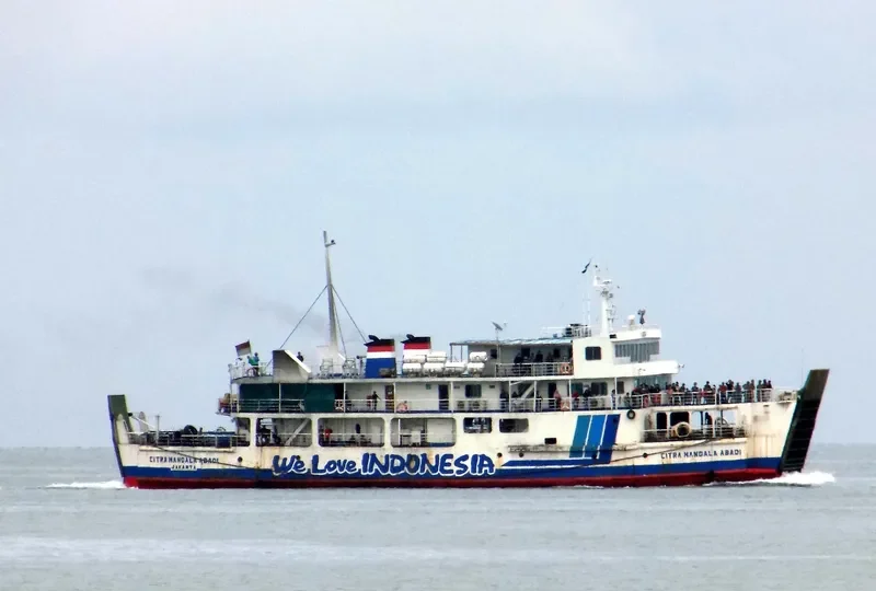 KMP.C.MANDALA ABADI Ro-Ro IMO 7126059 photo 3
