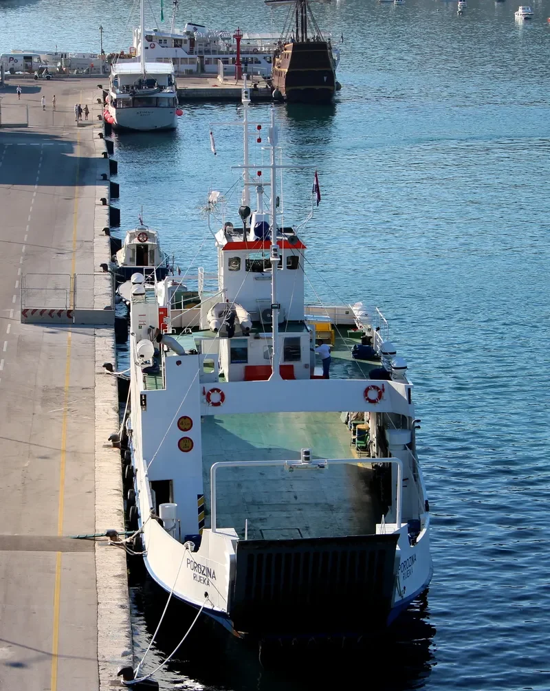 POROZINA Ro-Ro IMO 7126346 photo 2