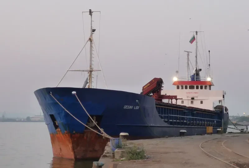 OCEAN LION General Cargo IMO 7126358 photo 7