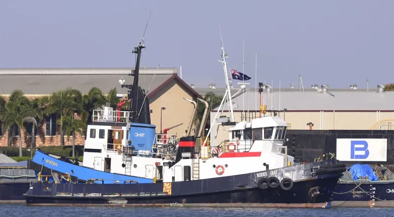 RODDS BAY General Cargo IMO 7127364 photo 2