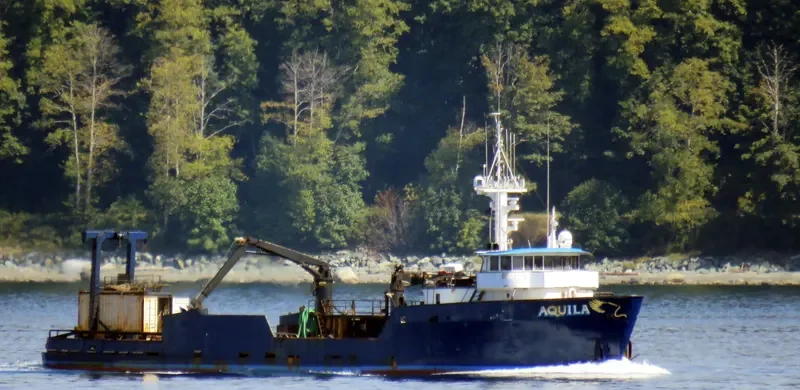AQUILA Fishing Vessel IMO 7127704 photo 6