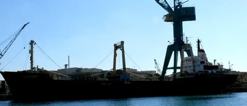 FRAU NANCY General Cargo Vessel IMO 7128057