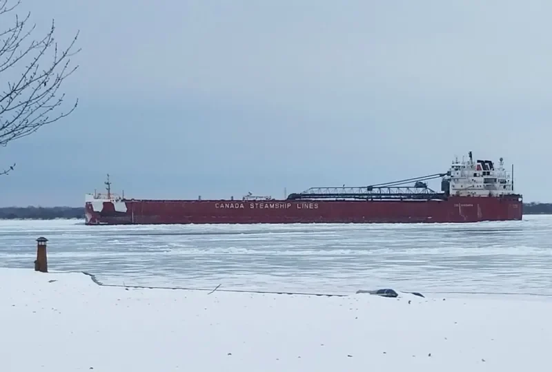 CSL NIAGARA Bulk Carrier IMO 7128423