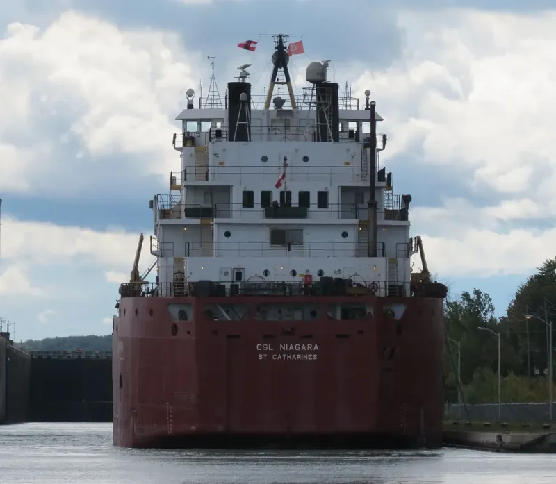 CSL NIAGARA Bulk Carrier IMO 7128423 photo 5