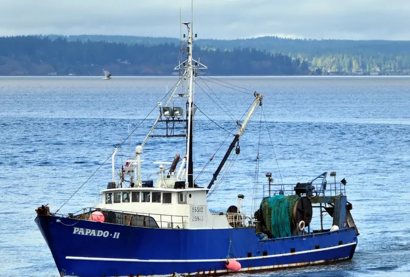 PAPADO II Fishing Vessel IMO 7128693 photo 3