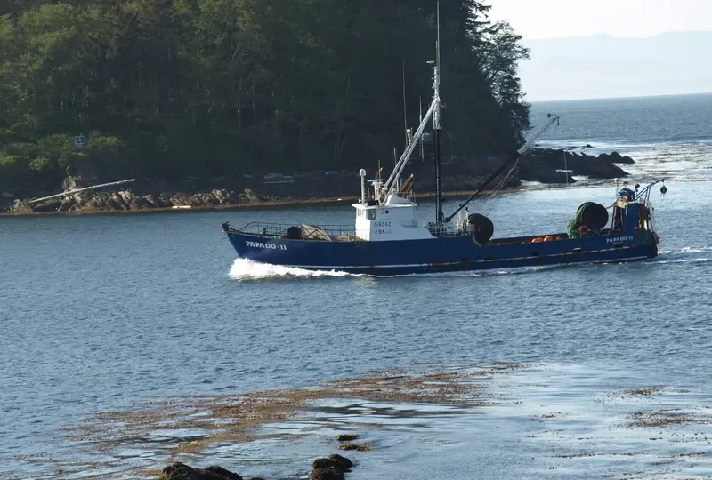 PAPADO II Fishing Vessel IMO 7128693 photo 5