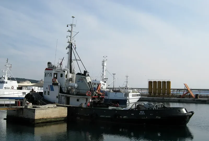 GEA Tug Boat IMO 7129271 photo 6