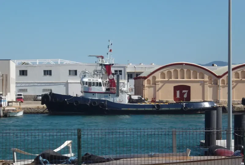 BOLUDA SEGUNDO General Cargo IMO 7129582