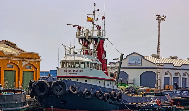 BOLUDA SEGUNDO General Cargo IMO 7129582 photo 7