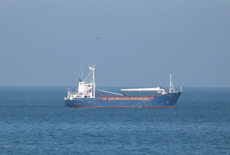 PAULO DA GAMA General Cargo IMO 7129661 photo 5