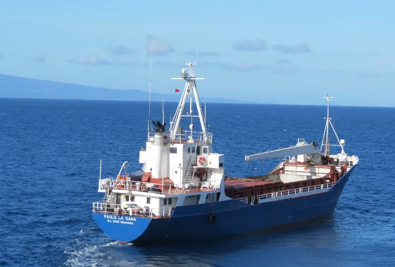 PAULO DA GAMA General Cargo IMO 7129661 photo 9