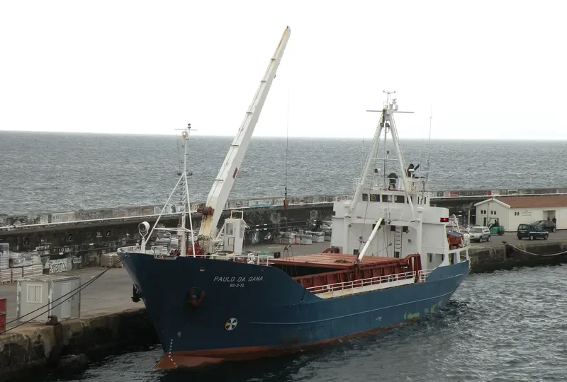 PAULO DA GAMA General Cargo IMO 7129661 photo 10