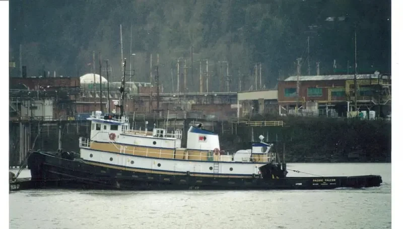 PACIFIC FALCON General Cargo IMO 7200128 photo 9