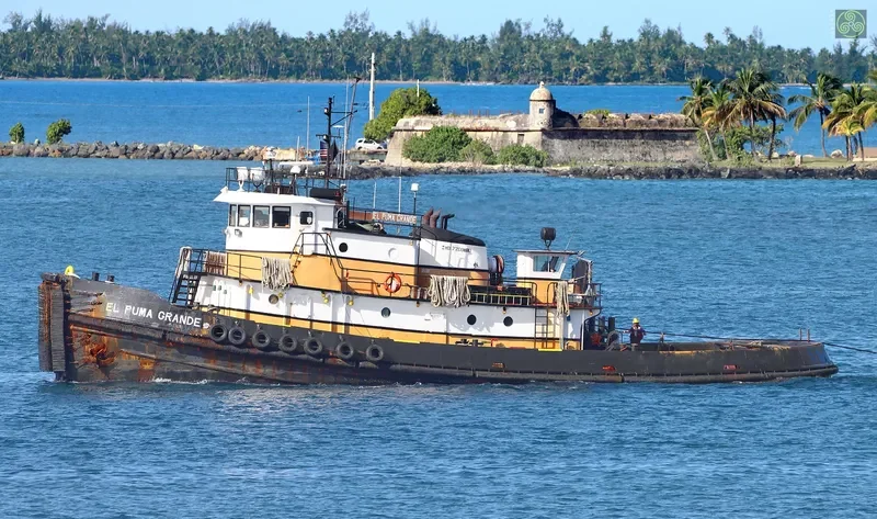 EL PUMA GRANDE Tug Boat IMO 7200180 photo 9