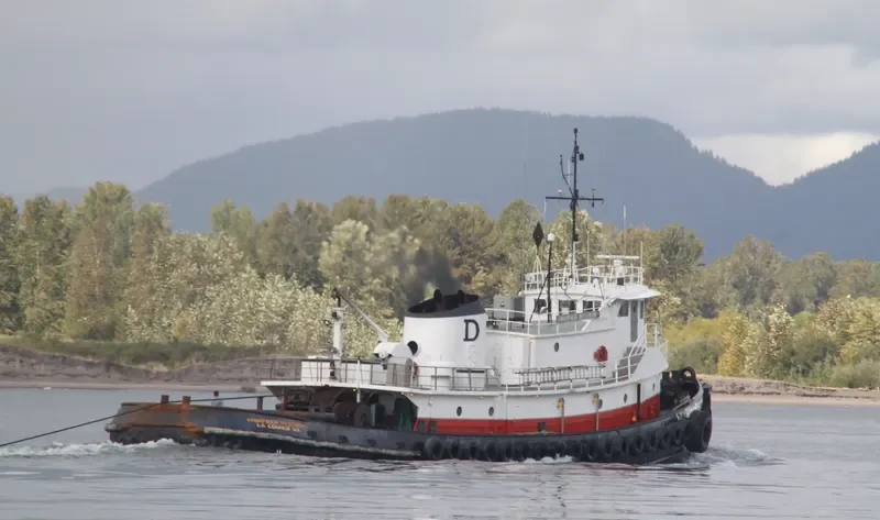MANFRED NYSTROM General Cargo IMO 7200219 photo 8