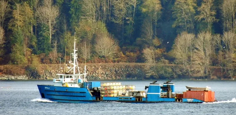 IMPALA Fishing Vessel IMO 7200594 photo 4