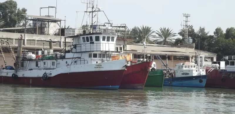 SHIQMONA Research Vessel IMO 7200697
