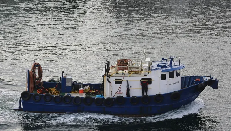 SEA HORSE III Multi-Purpose Vessel IMO 7200702 photo 2