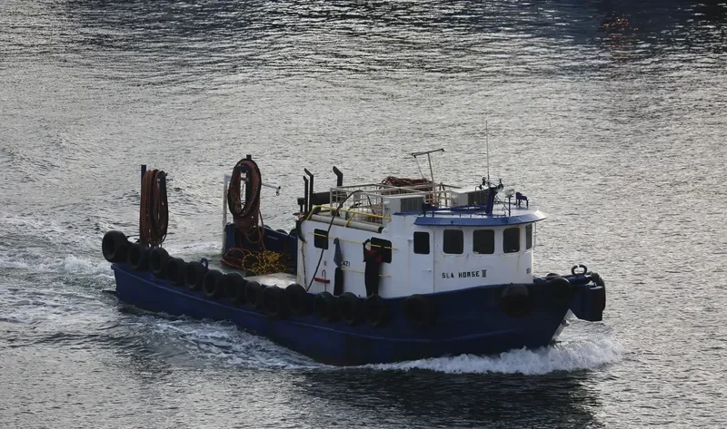 SEA HORSE III Multi-Purpose Vessel IMO 7200702 photo 3