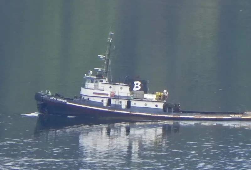 JACK BRUSCO Tug Boat IMO 7200867 photo 5