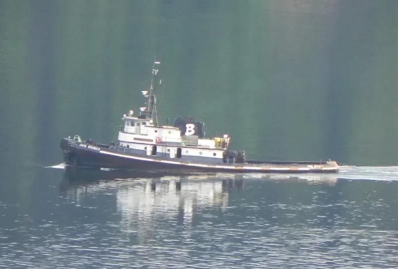 JACK BRUSCO Tug Boat IMO 7200867 photo 7