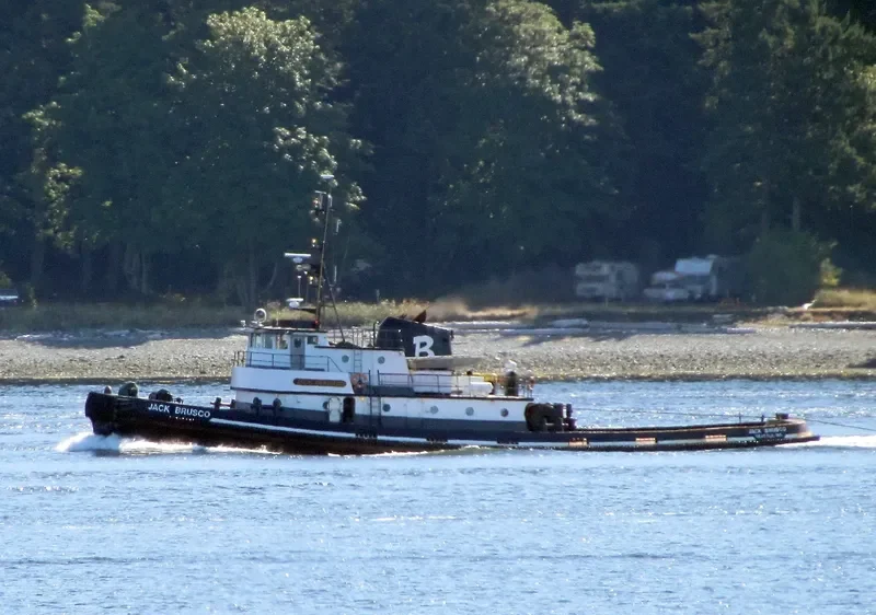 JACK BRUSCO Tug Boat IMO 7200867 photo 10
