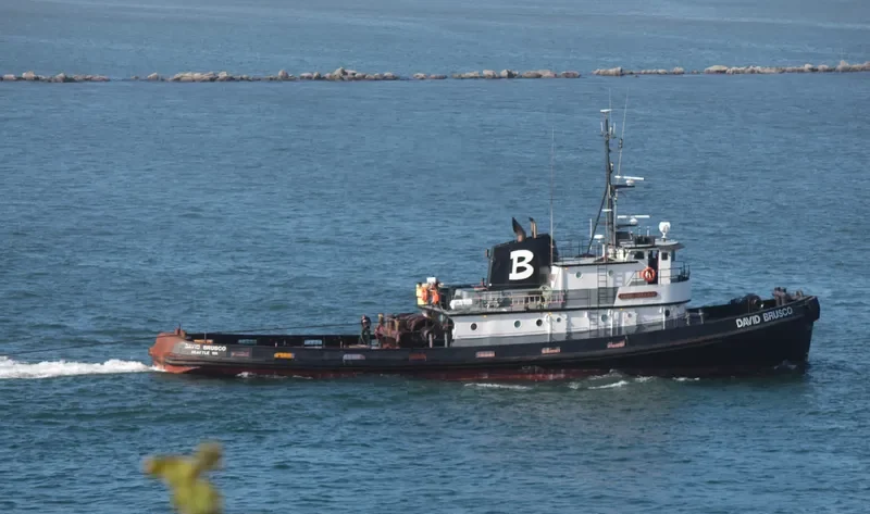 DAVID BRUSCO Tug Boat IMO 7200879