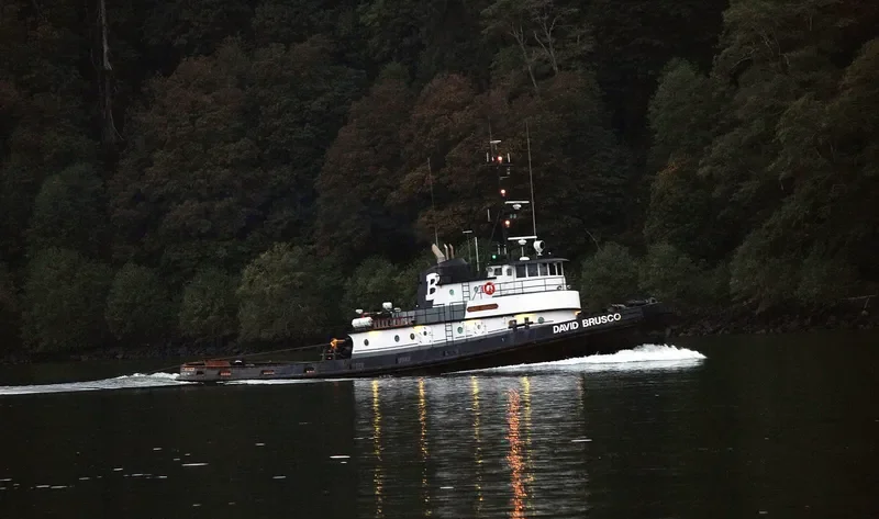 DAVID BRUSCO Tug Boat IMO 7200879 photo 2