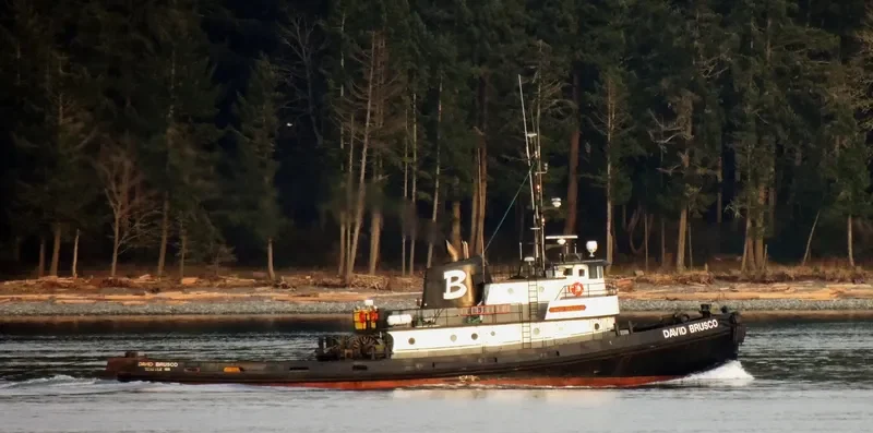 DAVID BRUSCO Tug Boat IMO 7200879 photo 3