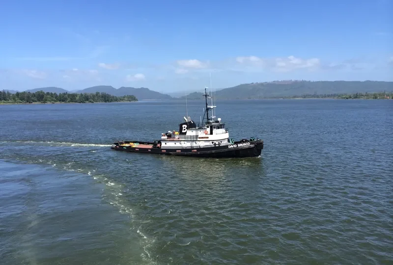 DAVID BRUSCO Tug Boat IMO 7200879 photo 7