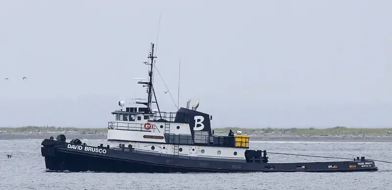 DAVID BRUSCO Tug Boat IMO 7200879 photo 8