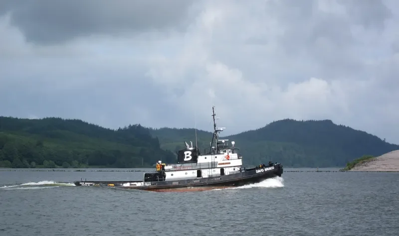 DAVID BRUSCO Tug Boat IMO 7200879 photo 9
