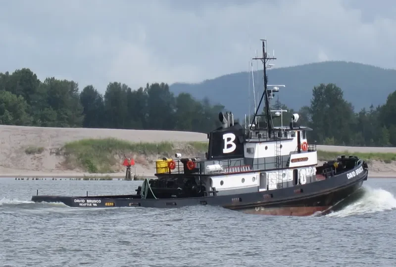DAVID BRUSCO Tug Boat IMO 7200879 photo 10