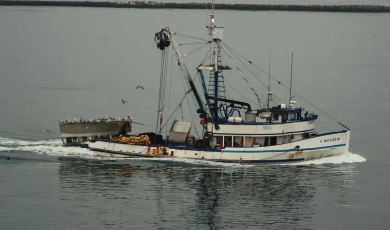 G.NAZZARENO Fishing Vessel IMO 7201469