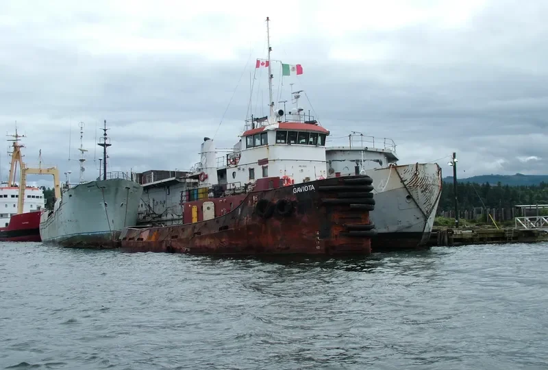 SAN VICENTE Offshore Supply Vessel IMO 7203285 photo 3