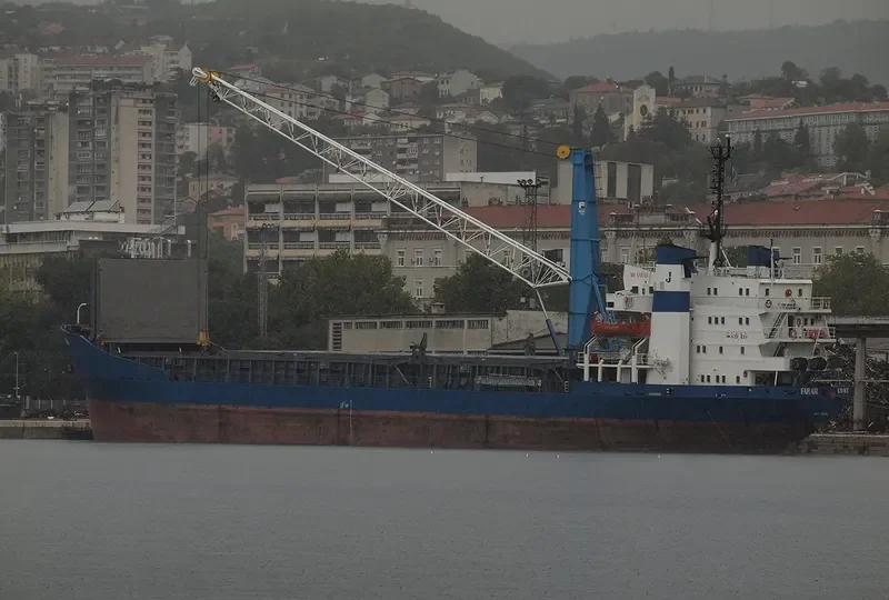 FARAH Bulk Carrier IMO 7203895 photo 3