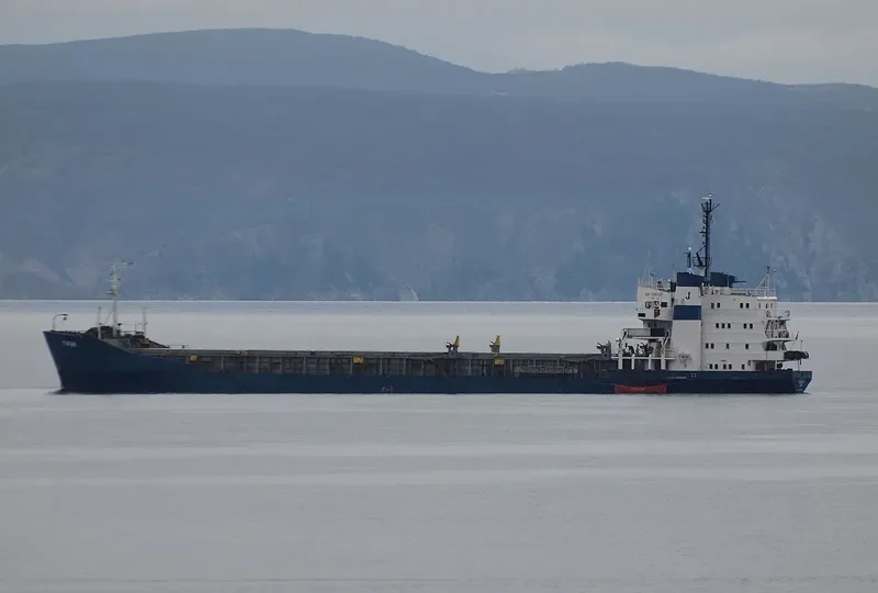 FARAH Bulk Carrier IMO 7203895 photo 5