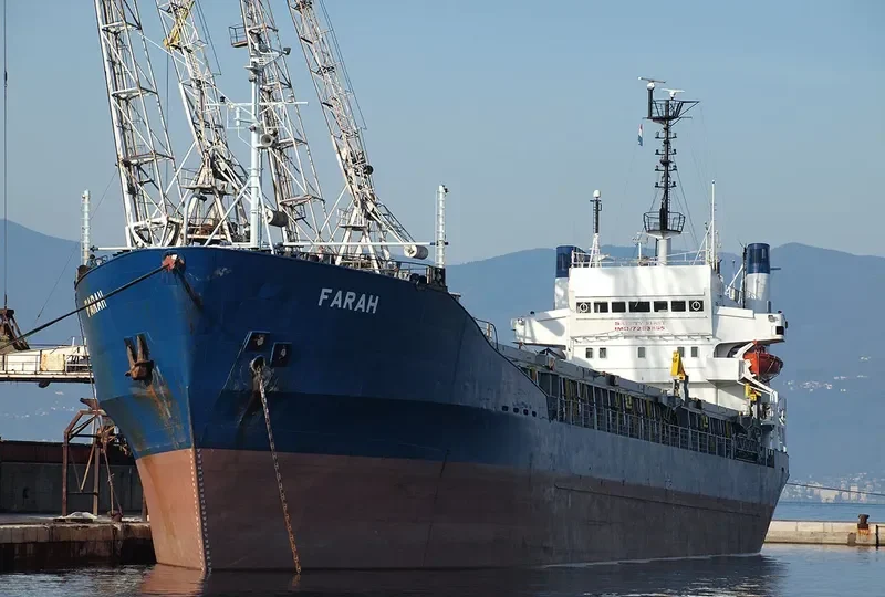 FARAH Bulk Carrier IMO 7203895 photo 6