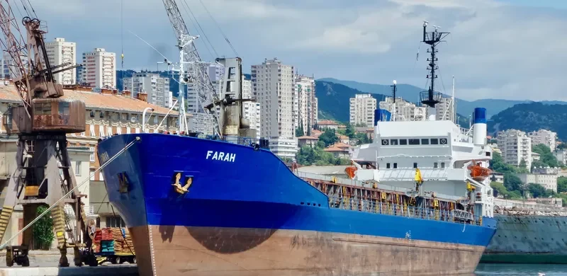 FARAH Bulk Carrier IMO 7203895 photo 7