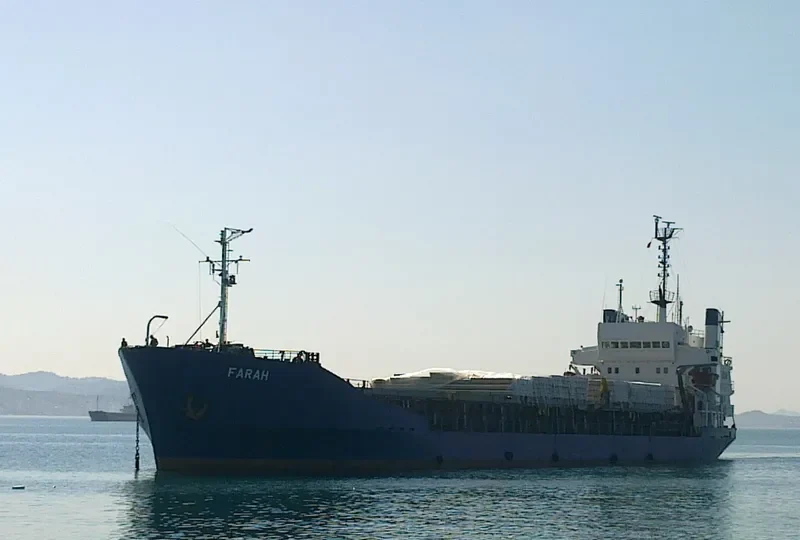 FARAH Bulk Carrier IMO 7203895 photo 8