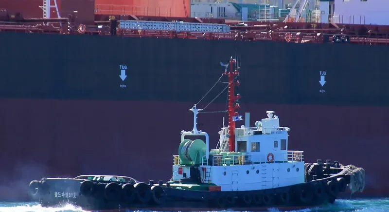 GOLDMARINE NO.31 Tug Boat IMO 7205001 photo 2
