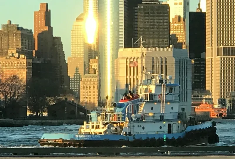 SHANNON DANN Tug Boat IMO 7207748 photo 3