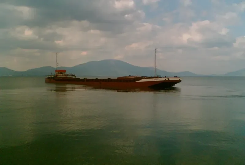 LARMES Bulk Carrier IMO 7208247 photo 3
