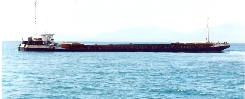 LARMES Bulk Carrier IMO 7208247 photo 7