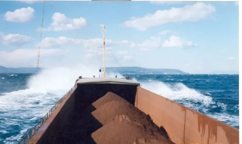 LARMES Bulk Carrier IMO 7208247 photo 8