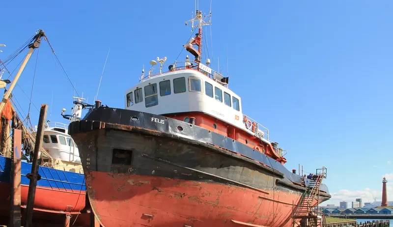 FELIS General Cargo IMO 7208613 photo 9