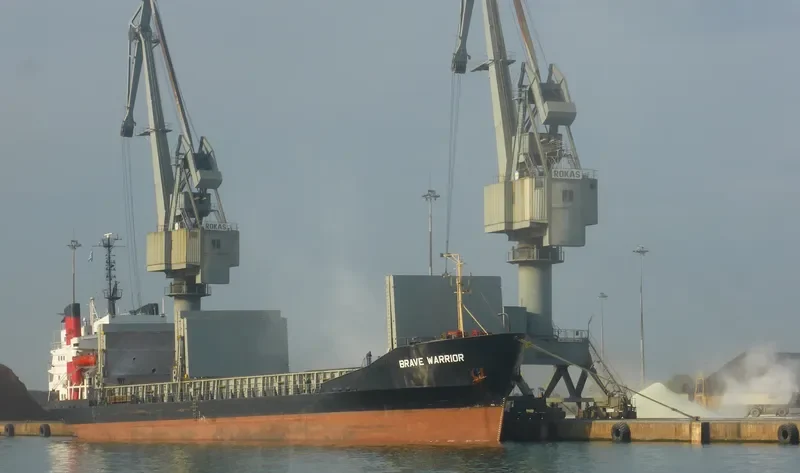 BRAVE WARRIOR Bulk Carrier IMO 7208728 photo 3