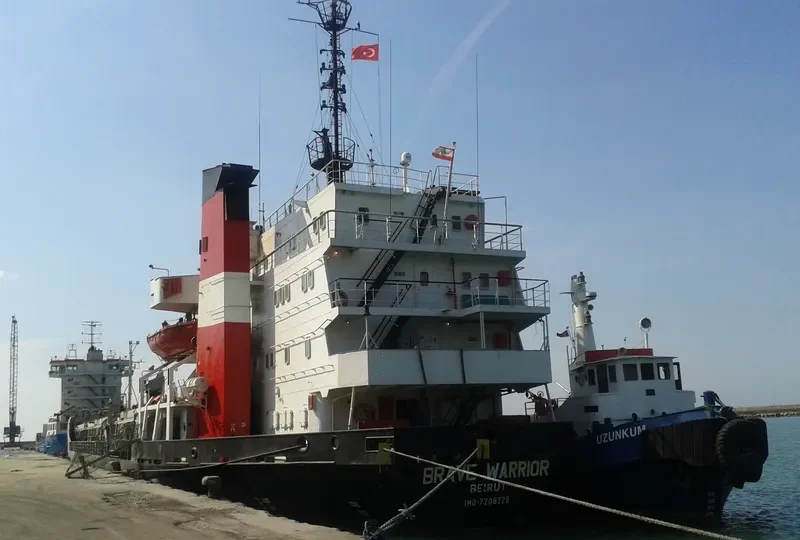 BRAVE WARRIOR Bulk Carrier IMO 7208728 photo 4