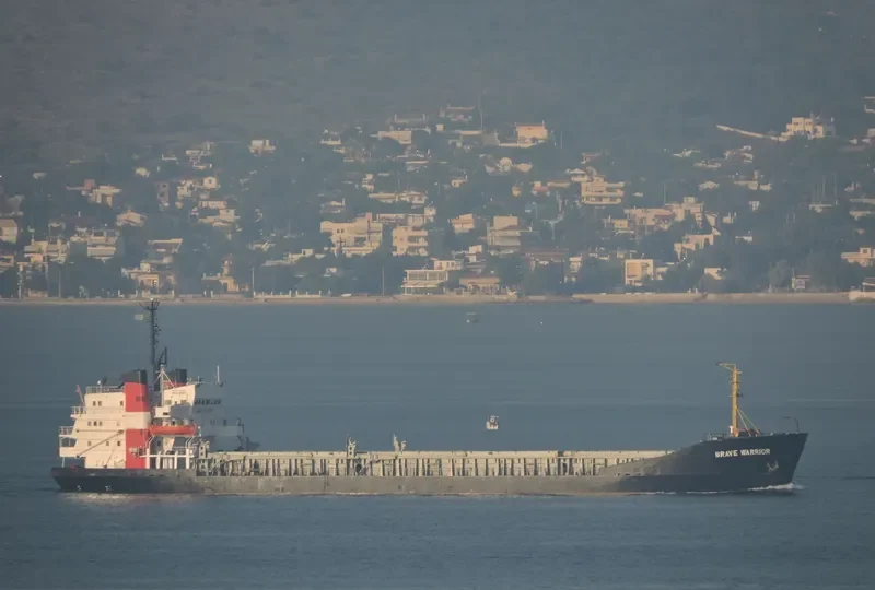 BRAVE WARRIOR Bulk Carrier IMO 7208728 photo 8